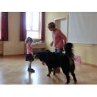 2017_08_08_hundestunde (10).jpg